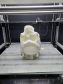 Réplica em 3D de crânio é a novidade no acervo do Museu Paranaense de Ciências Forenses